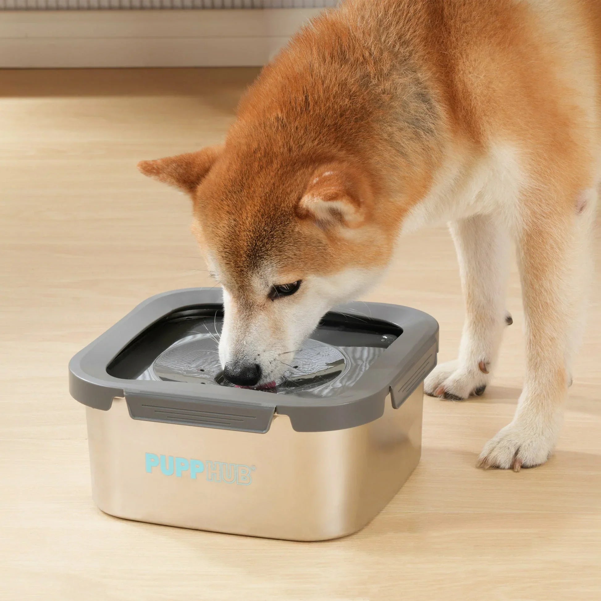 How High Should Dog Bowl Be Perfect Height Guide PuppHub how-high-should-dog-bowl-be-perfect-height-guide-pupphub