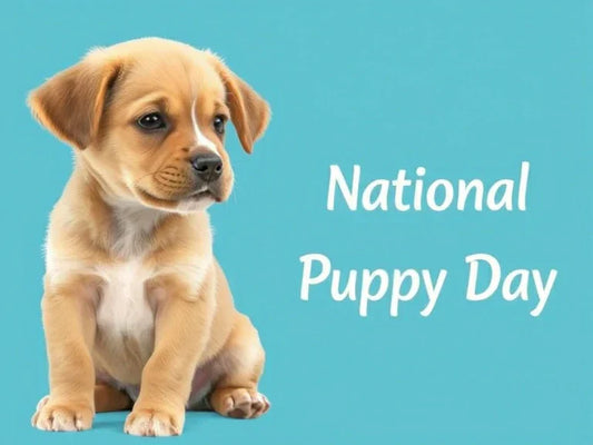 When Is National Puppy Day? Mark Your Calendar
