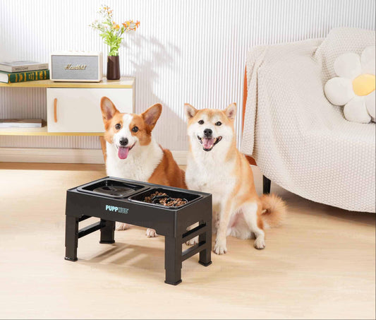 Enhancing Pet Health with Optimal Bowl Height: The 2-in-1 Zero Splash™ Advantage