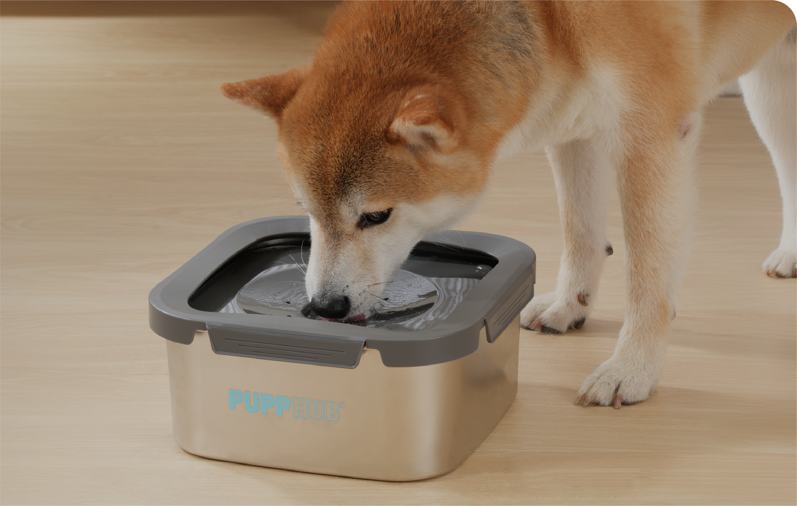Stylish Stainless Dog Bowl