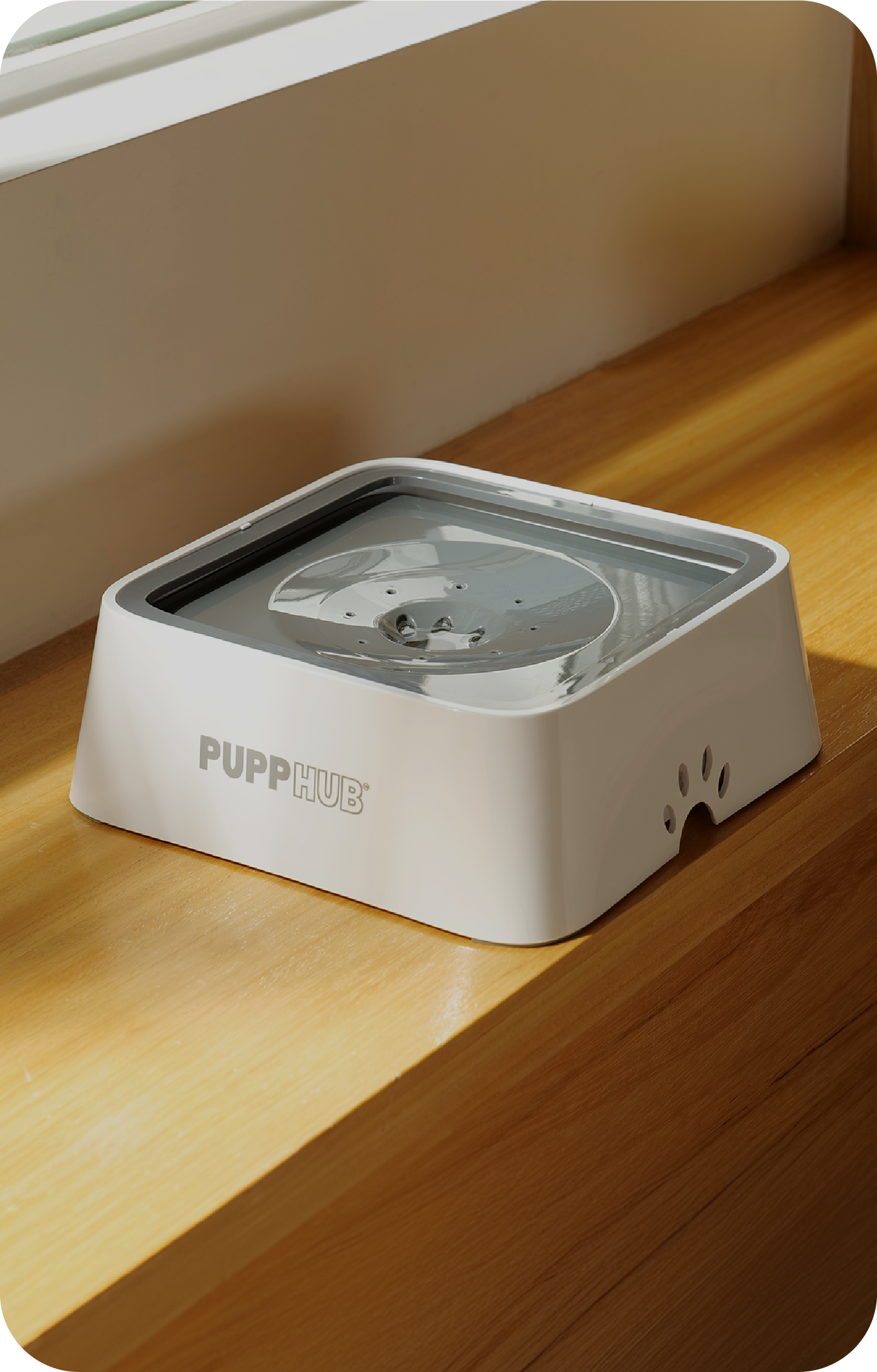 Premium Stainless Steel Dog Bowl