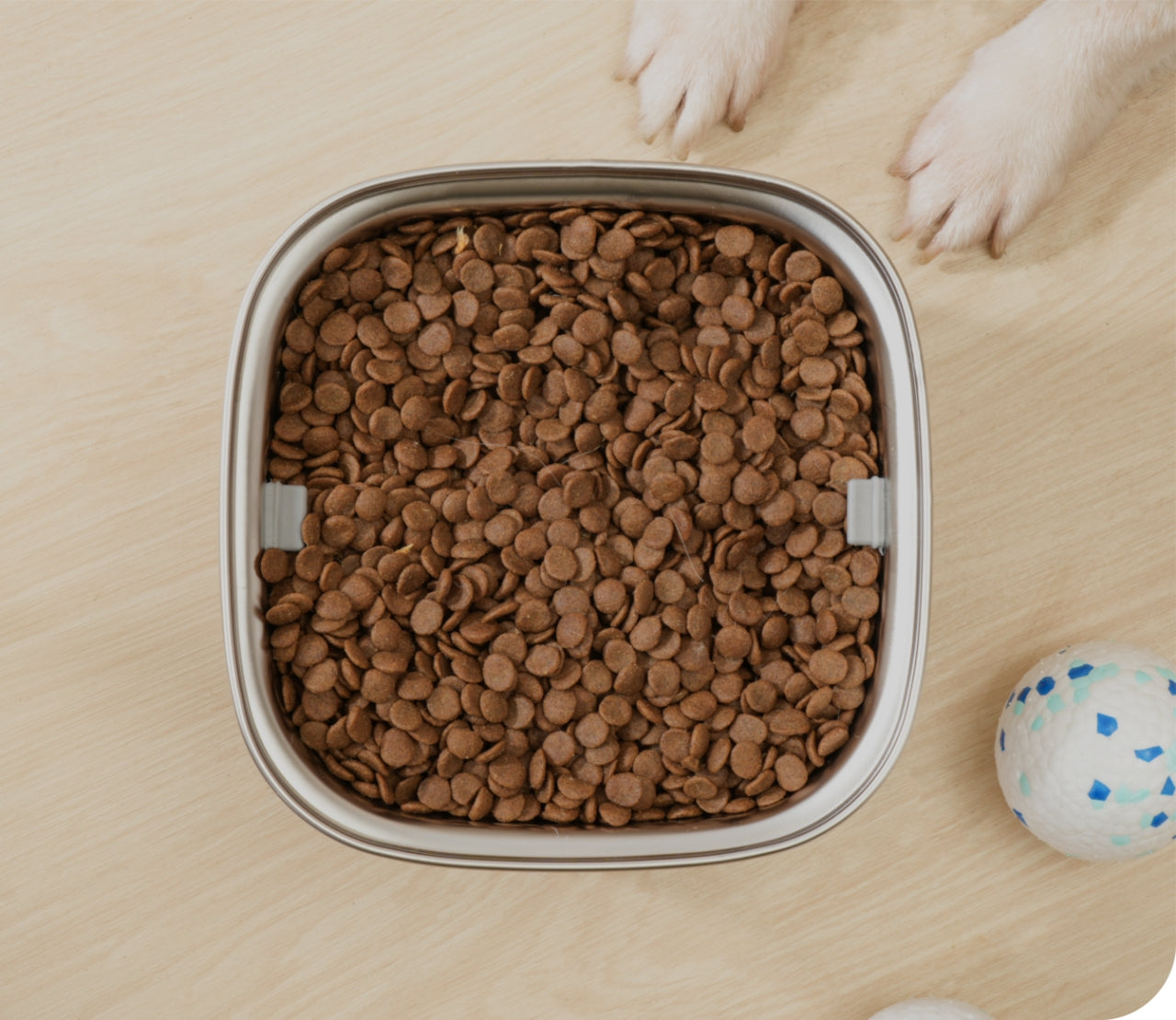 Premium Stainless Steel Dog Bowl