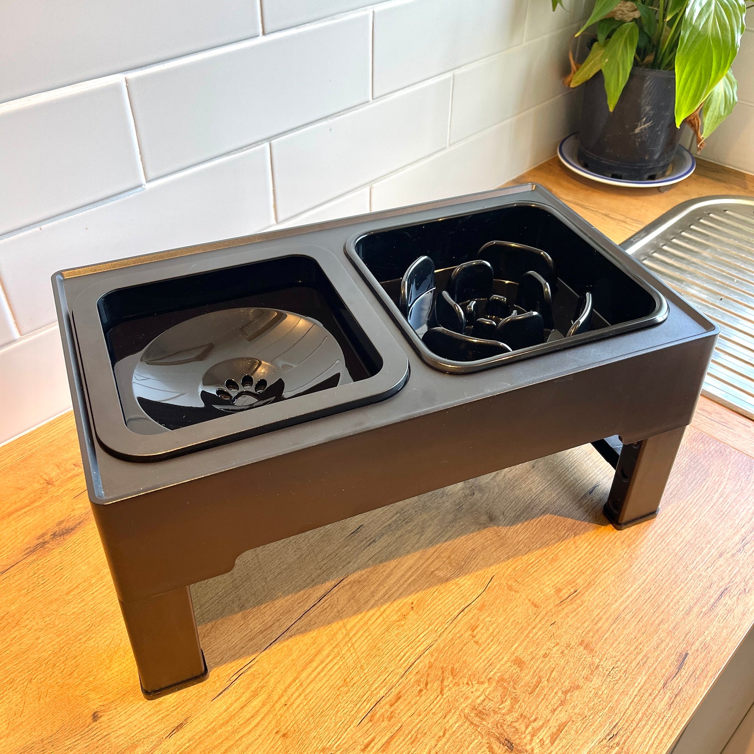 Elevated dog bowl