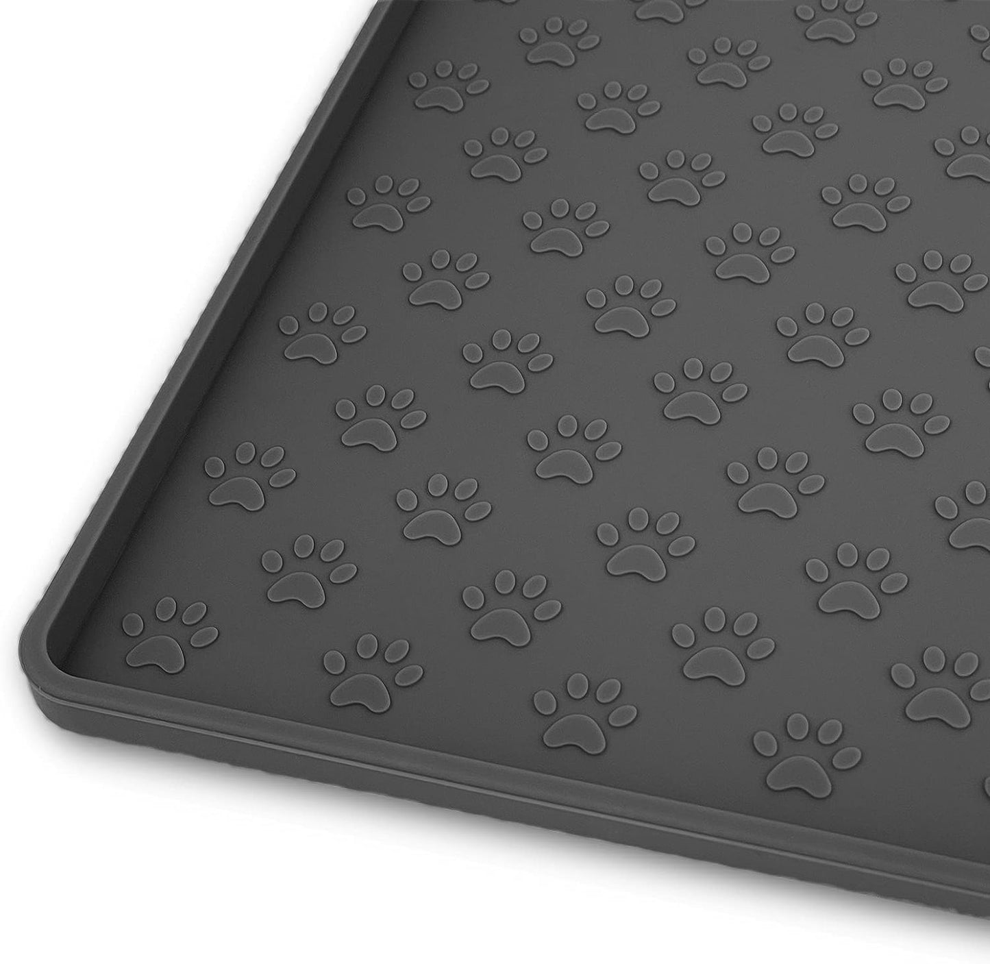 Shiba Inu dog eating from elevated Zero Splash Ultimate™ pet bowl in living room.