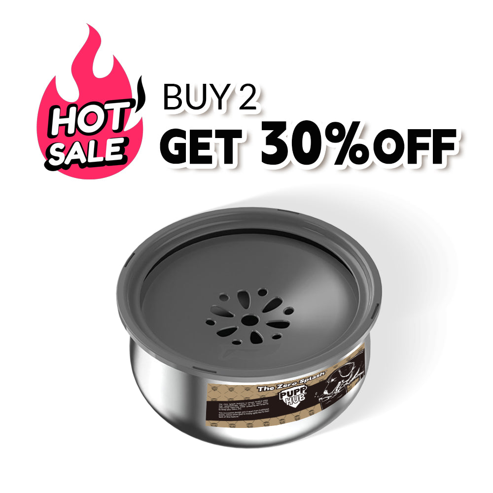 Best spill proof dog water bowl sale