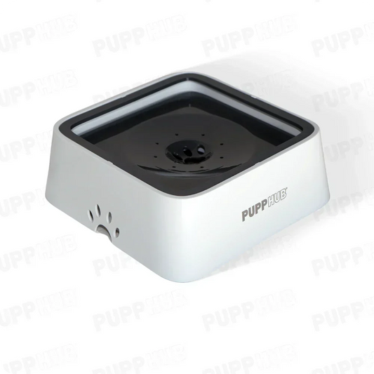 Dog Water Bowl Buying Guide: Choosing the Right Dog Bowl for Your Dog