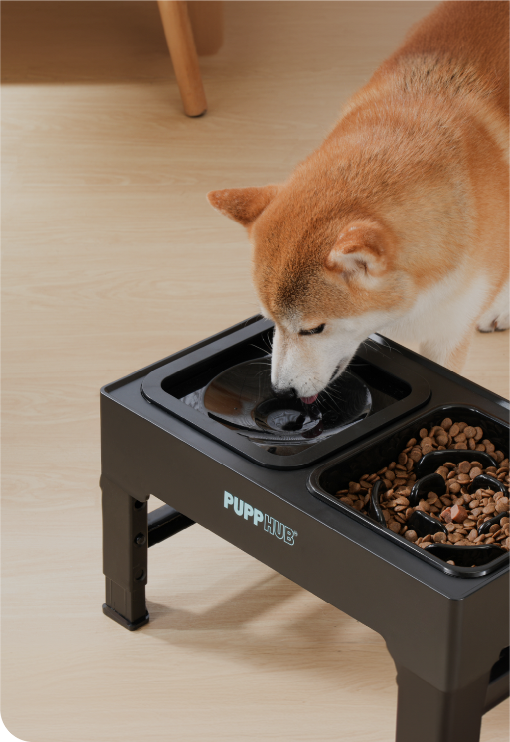 PuppHub - Innovative No-Spill Dog Bowls & Accessories