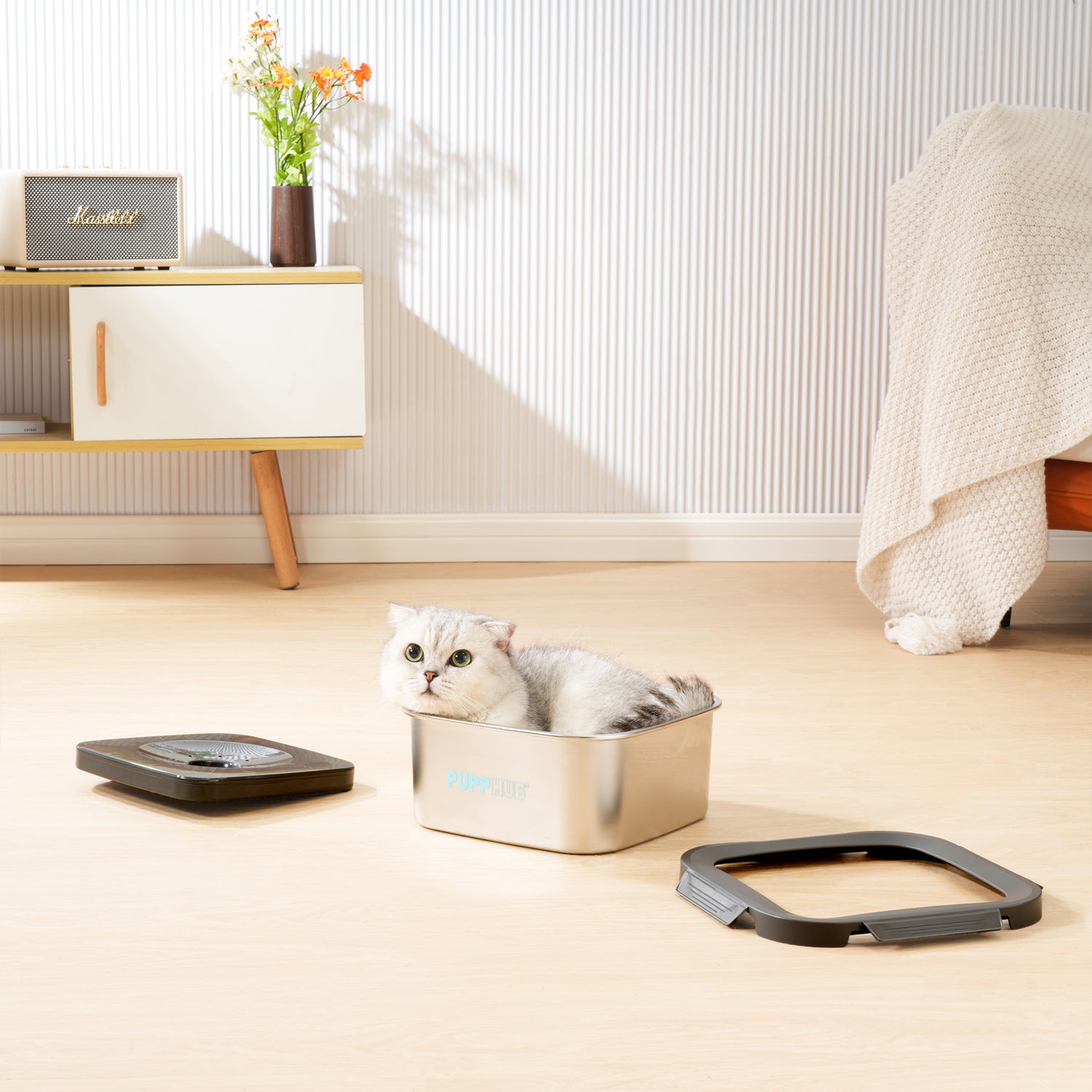 Dog Bed