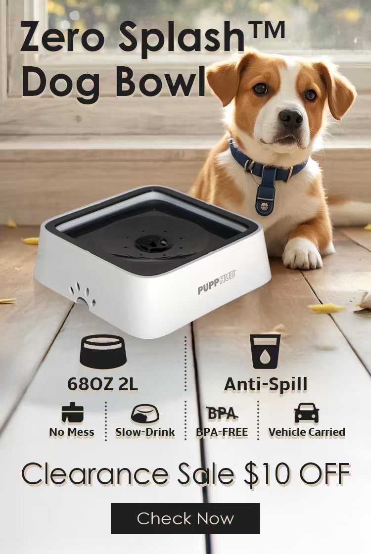 PuppHub™ | Stainless Dog Bowls