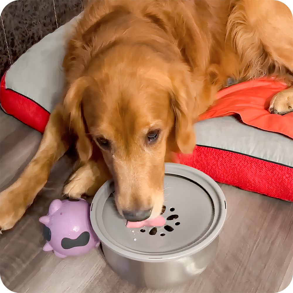 Large spill proof dog bowl clearance