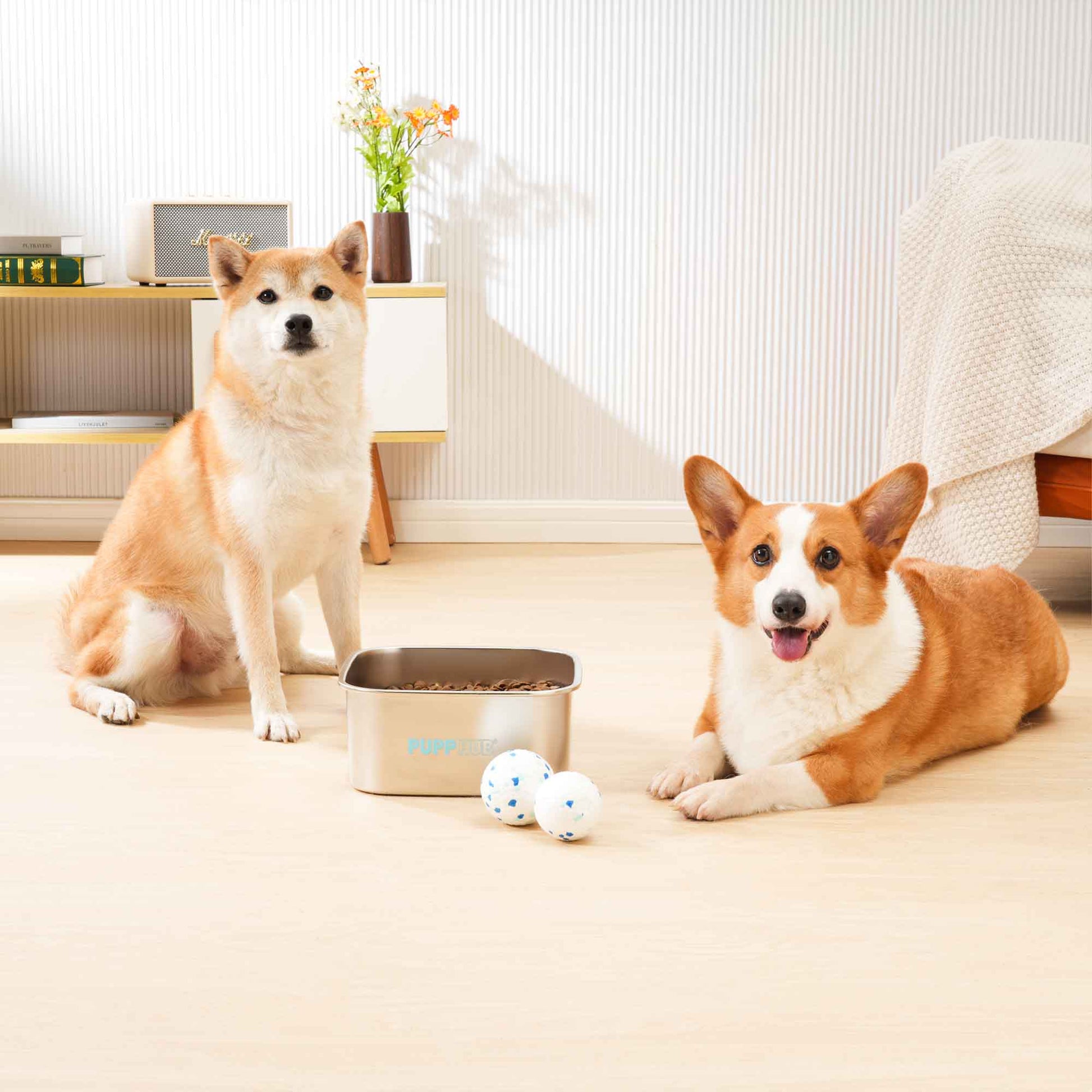 stainless steel dog bowl