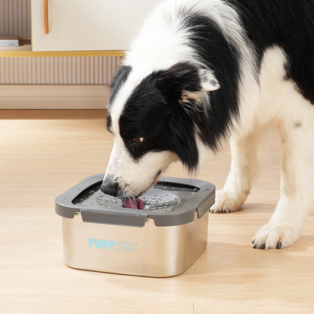 stainless steel dog bowl