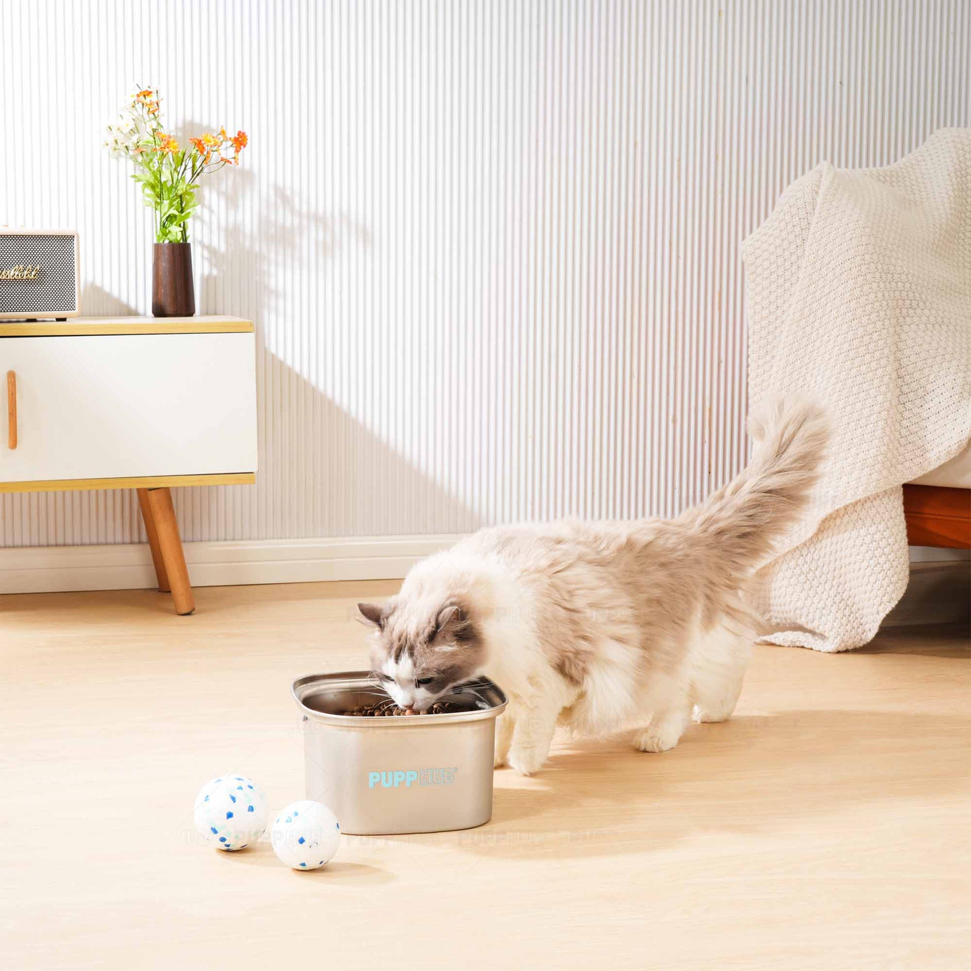 zero splash water bowl