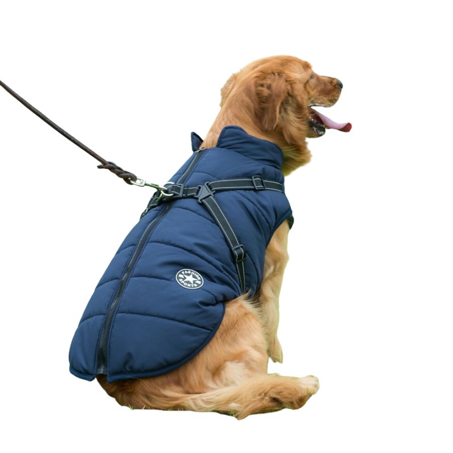 Dog Winter Jacket With Harness​