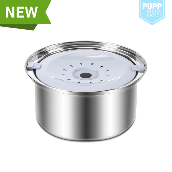 dog bowl stainless