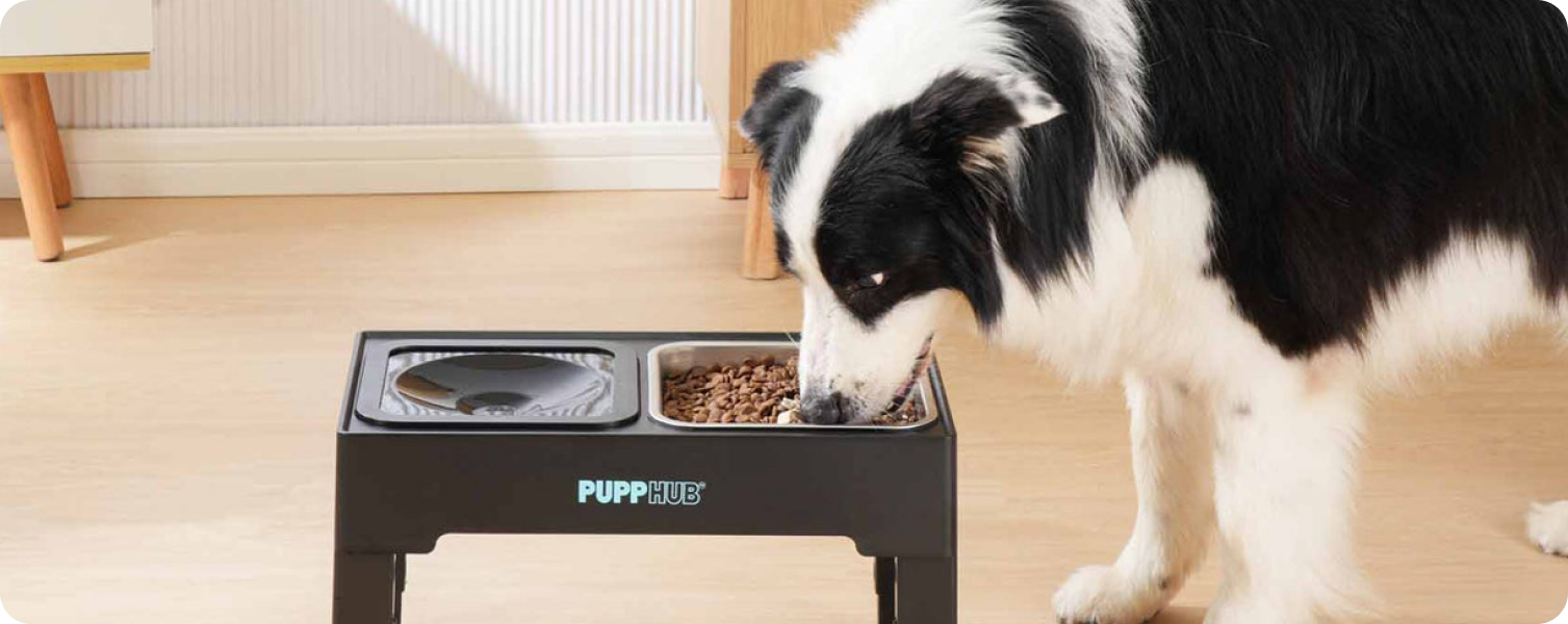 Raised Dog Bowls for Large Dogs Adjustable Elevated Dog Bowl No Splash Slow Feeder Stainless Steel 2 in 1 Food Water Bowl PuppHub