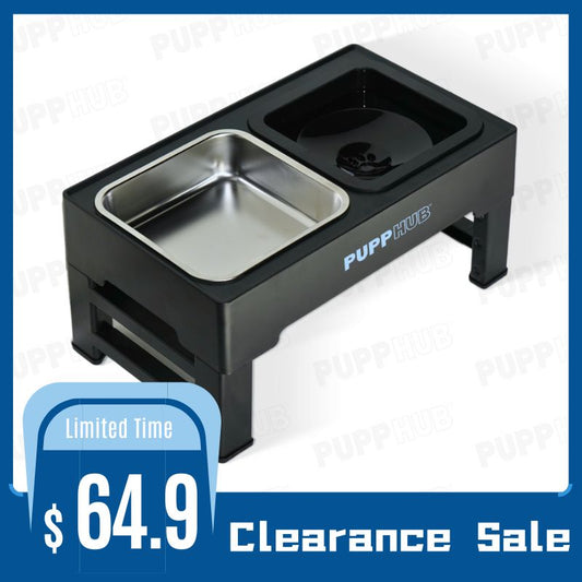 dog bowl