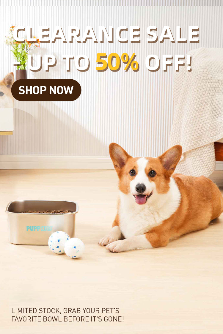 Pupphub Dog 